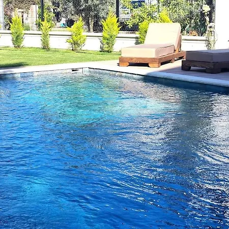 فيلة Freyja داليان