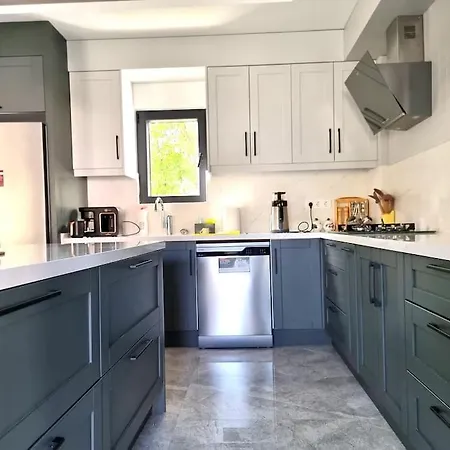 Freyja فيلة داليان